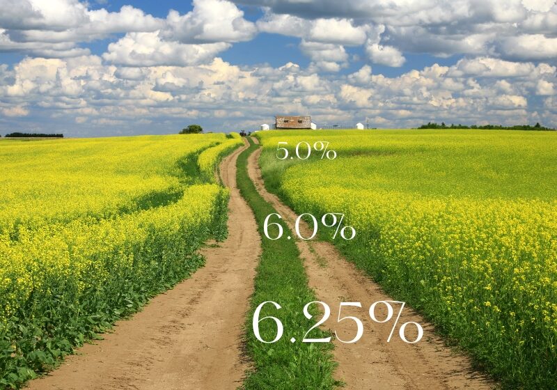  A Glimpse Of 5% Te Banner 800 X 600