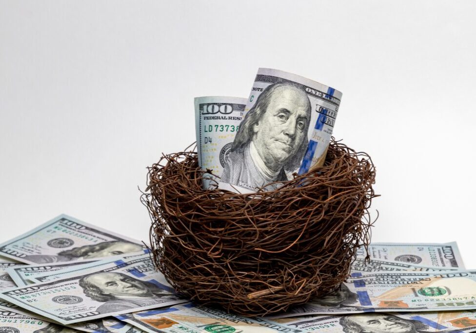 Bird Nest With 100 Dollar Bills. Financial Nest Egg, Retirement Savings And Investment Concept